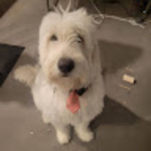 Meet your Posher, Sara naava